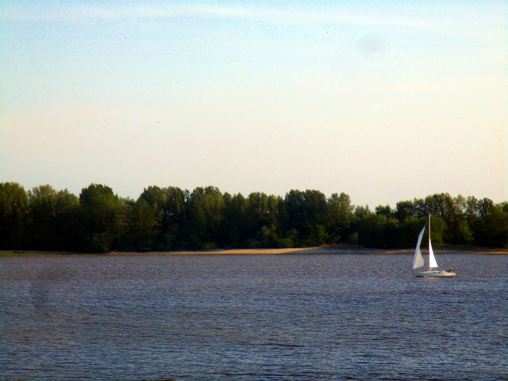 Ein Segelschiff auf der blauen Elbe, vor der Elbinsel Hanskalbsand.