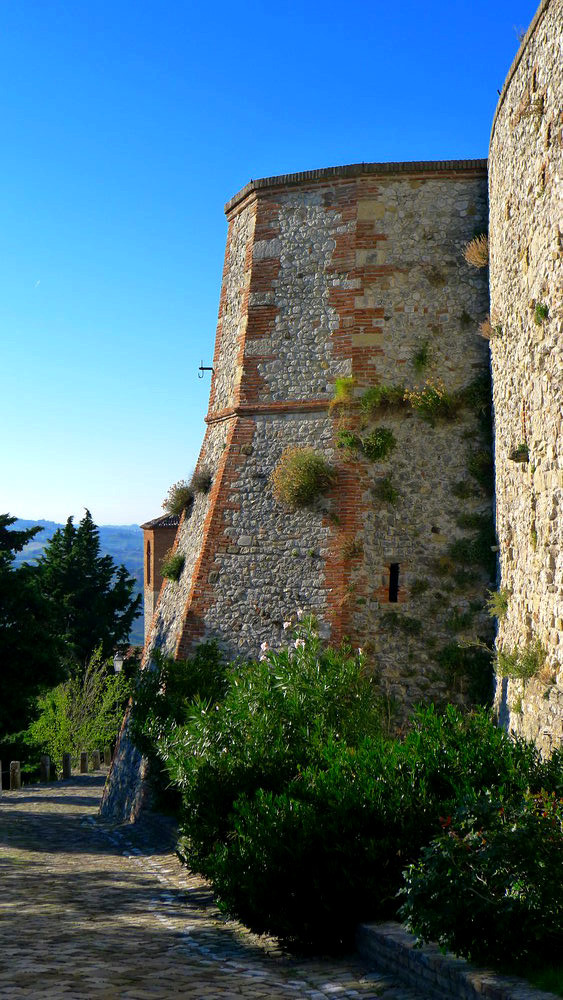 Ein 8-eckiger Turm, der zylinderförmig ist, es ist einer der äußeren Burgtürme der Rocca del Sasso. Er ist Grau, mit roten Ziegelsteinen an den Kannten gemauert, was einen schönen Ziereffekt hat. Es gibt eine kleine Schiesscharte an dem Turm, die gut versteckt ist.