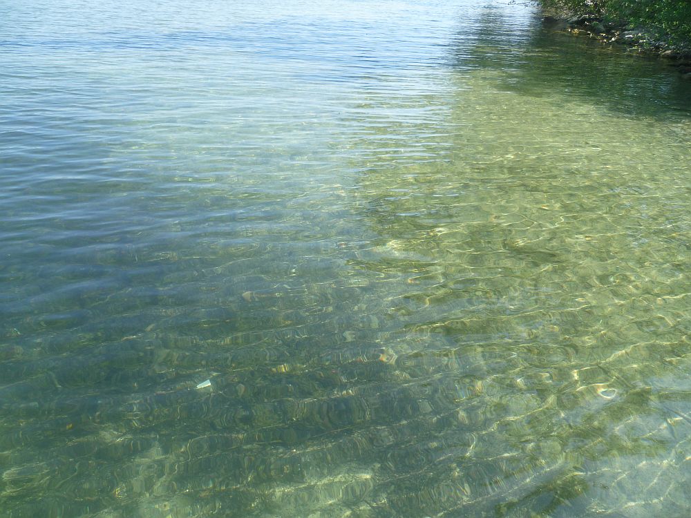 Klares grünes Wasser mit einer sanften Welle.