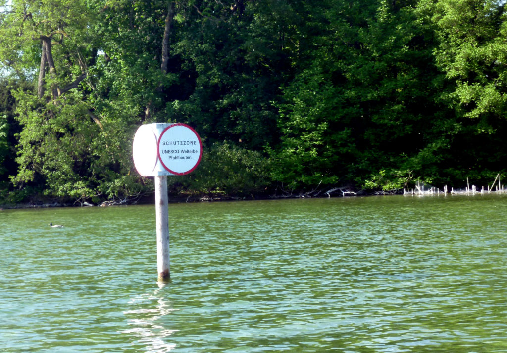 Ein Warnschild in einem roten Kreis ragt aus dem grünen Seewasser hervor.