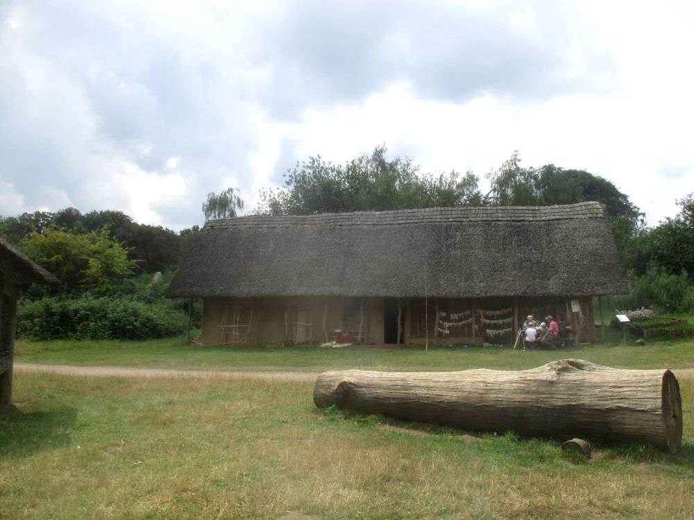 Ein langes Haus, von der Seite gesehen auf einer Wiese, dahinter Wald. Das Haus ist aus Holz und Lehm gebaut und hat ein mindestens zweigeschossiges, mit Stroh gedecktes Dach. Der Hauseingang ist an der Langseite.
