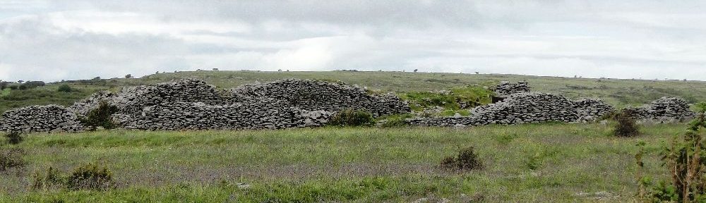 Zwei Mauerreihen von Cahercommaun aus der Distanz Fotografiert. Die Mauerreihen zeichenen sich deutlich in der grünen Wiese ab.