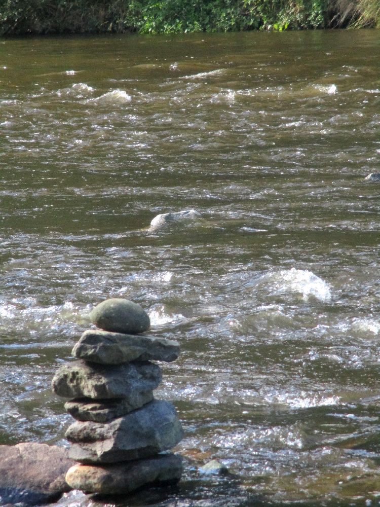 Ein Fluss mit viel Strömug fielst an einem Steinmännchen vorbei