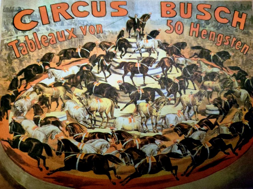 Viele Pferde laufen in 4 Reihen um einen Mann herum, der auf einem Podest steht. Darüber steht Circus Busch. Mit einer Show mit 50 Pferden wird geworben.