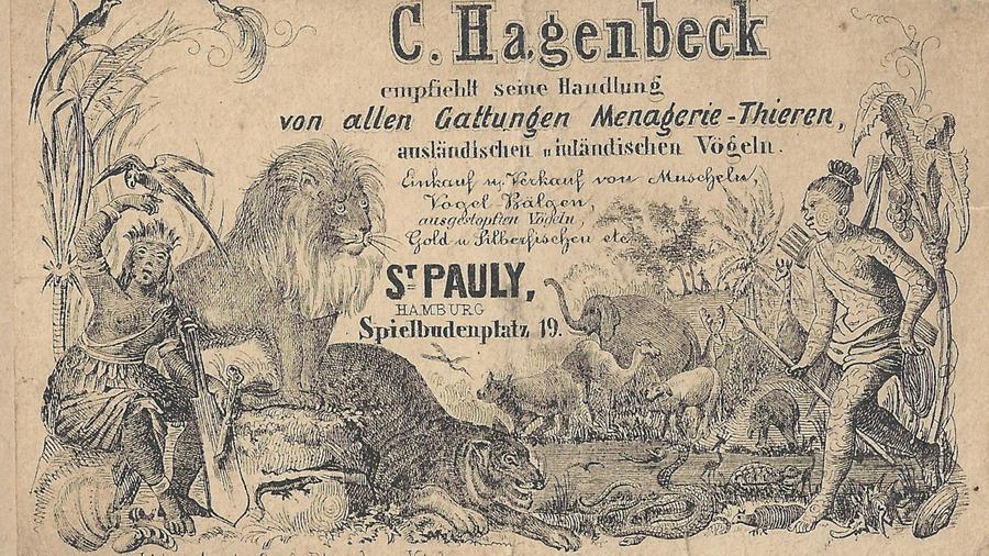 Werbeanzeige aus der Zeitung aus dem Jahr 1848. Die zoohandlung Hagenbeck wird beworben mit der Adresse Spielbudenplatz 19. 