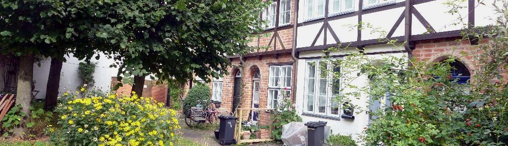 Zwei Fachwerkhäuser mit einem grünen Garten, in dem ein großer Busch mit gelben Blüten steht.
