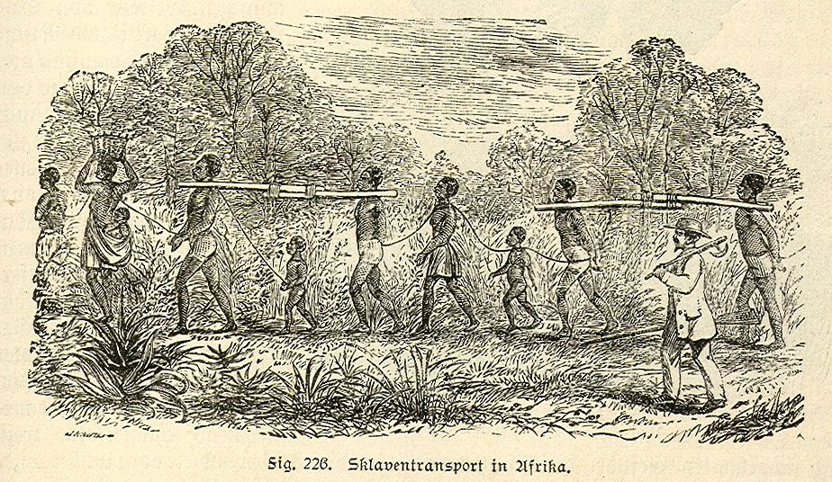 Historische Zeichnung, die eine Gruppe Schwarze Menschen zeigt. Sie sind mit Ketten am Hals aneinander gebunden. Es sind erwachsene und Kinder.