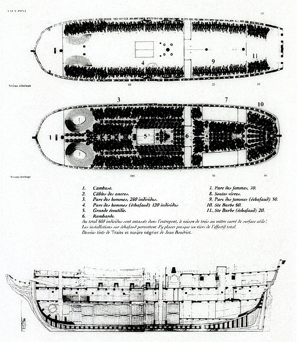 Eine schematische Darstellung eines Sklavenhändlerschiffes, auf dem 280 Personen zusammengequetscht sind