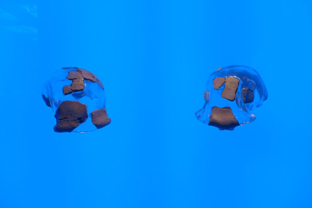 Bilzingsleben und die Spuren von Homo erectus: Warum alte Knochen so spannend sind